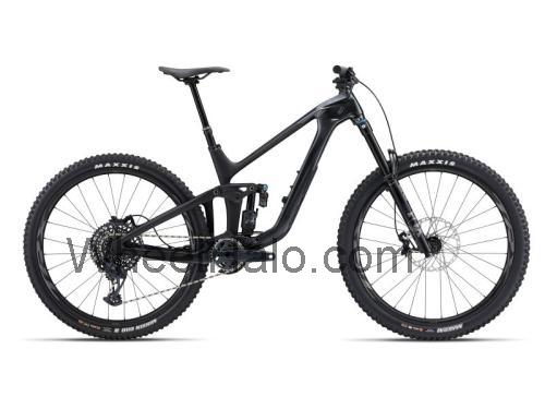 Giant Reign 29 1 fiche technique et avis